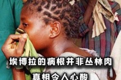 埃博拉病毒中国有过吗，埃博拉是远古病毒吗