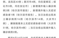 黑龙江新增确诊病例35例，黑龙江新增40例确诊 50例无症状