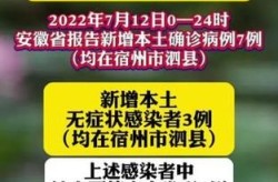 安徽新增3例本土确诊病例，安徽新增本土确诊病例