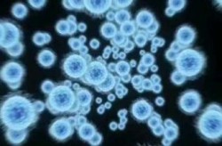 x病毒现在中国有人感染吗最新消息，X病毒到中国了吗