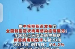 新流感2020死亡病毒，新型流感病毒2020