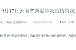 疫情中的境外输入是什么意思（境外输入和境内输入什么意思）