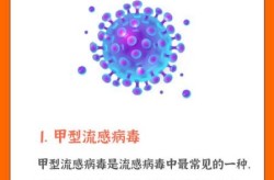 2023年流感病毒叫什么，2023年冬天流感病毒都有哪些