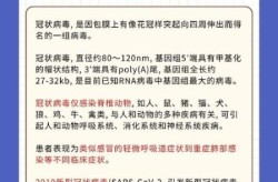 北京最近传染的病毒叫什么名字来着，北京最近出现的病毒