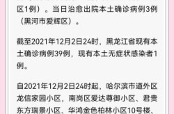 黑龙江最新疫情情况最新消息，黑龙江最近爆发的病毒
