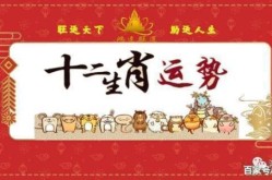 2019年属什么生肖，2019年什么生肖