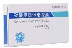 奥司他韦胶囊成人一天吃几粒（甲流吃了2天奥司就不发烧）