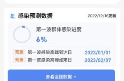 各省第一波感染高峰期，中国各省新冠感染人数