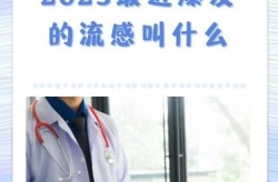 2023年春季流感是什么病毒（2024年流感）