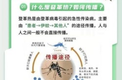 佛山登革热疫情2023，广东省卫生健康委公布2023年3月全省法定报告传染病疫情