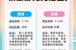 流感进入季节性高发期，流感高发季节是几月份