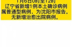 沈阳新增1例是哪的病例，沈阳现有确诊病例