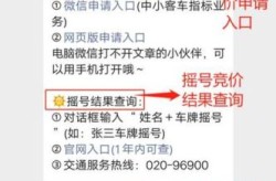 小汽车摇号查询结果查询，查小车摇号是否中标