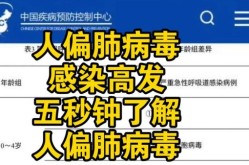 人类偏肺病毒传播途径，人偏肺病毒的传播途径