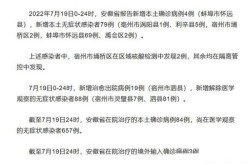 安徽新增无症状感染者4例，安徽二例无症状感染者