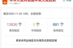 专家:低风险区没必要倡导就地过年（低风险地区是正常地区吗）