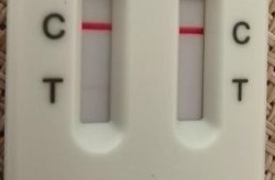 现在感冒一测就阳性正常吗会传染吗，普通感冒会测出阳性吗