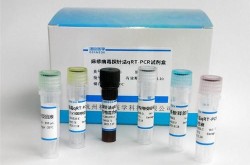 生产pcr检测试剂盒的厂家（甲乙流检测试剂盒厂家）