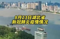 湖北疫情最新情况 最新消息，湖北疫情今天最新消息