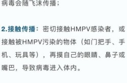 人类偏肺病毒能治好嘛，人偏肺病毒多久能自愈