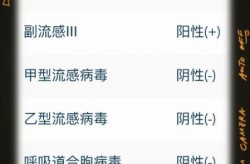 副流感病毒123型什么意思（复流感病毒三型严重吗）