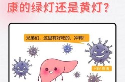 乙肝245阳性对人的影响，乙肝245阳性是正常人吗