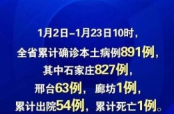 河北新增本土确诊21例病例（新增确诊病例最新通报）