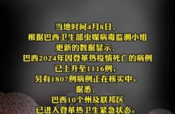 2024年疫情会结束吗，2024年还会有疫情吗