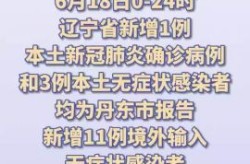 沈阳疫情最新数据消息（沈阳疫情最新消息2024年）