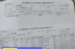 2024年登革热输入病例，登革热输入病例是指