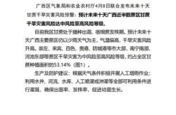 31省新增本土40例广西30例（31省市新增本土病例最新消息）