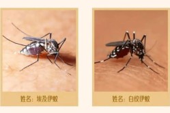 兰州的疫情最新消息，最近兰州出现的传染病是什么