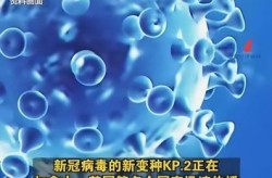 新冠病毒最新变异情况，新冠变异病毒最新症状