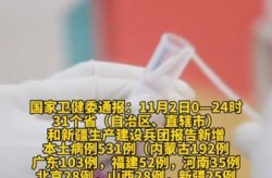 31省区市新增确诊26例 本土2例，31省区市新增本土确诊病例30例