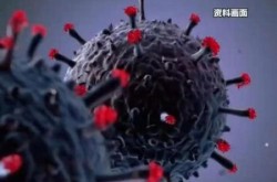 山东变异新型冠状病毒最新消息（新冠变异成什么病毒了）