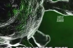 上海1确诊病例感染德尔塔变异株（德尔塔变异株在我国疫情扩散的原因）