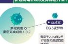 美已现7种新冠变异株，新冠病毒有几种变异株