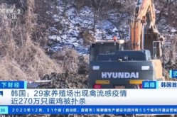 北京禽流感最新消息新闻，中国禽流感最新消息