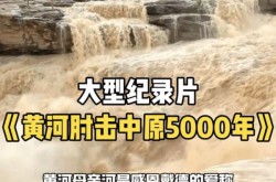 全国第一波感染高峰已过，新黄河感染高峰已经过