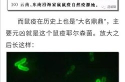 河北石家庄疫情源头在哪里，河北鼠疫疫源地是哪