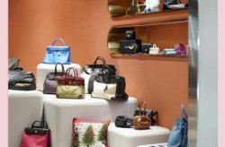 上海奢侈品店被曝用菜品维护客户（上海奢侈品购物中心）