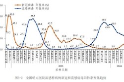 2024新冠病毒进入第几波，2024年最新新冠病毒