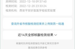个人核酸检测结果查询，个人所有核酸记录查询