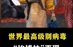 2015年埃博拉疫情，埃博拉病毒2017