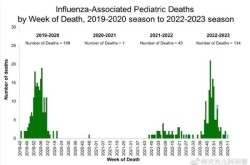 美国近5天死亡人数最新，美国甲流死亡人数