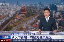 武汉疫情什么时候开始的，武汉疫情是几几年开始的