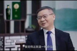 张维为最奇葩的言论，张维为逆天语录