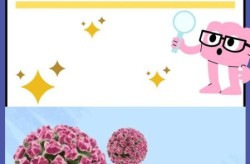 人  瘤病毒怎么导致的，人乳头瘤病毒什么导致的