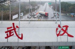 2019武汉新冠疫情回顾，2019年武汉疫情新闻