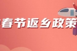 今年可以返乡过年吗最新消息，2024返乡政策最新查询